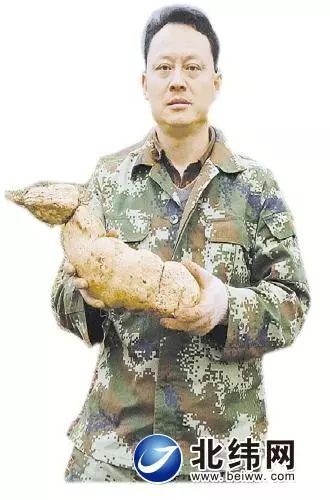 高永国和他种的土耳苕.jpeg