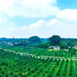 强化就业优先导向   加快释放政策红利