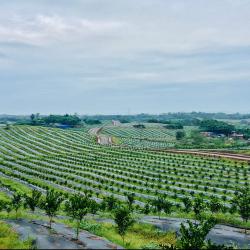 促进高质量充分就业   擦亮民生幸福底色