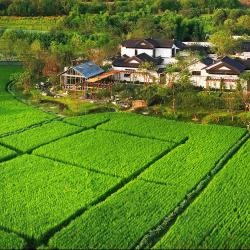 “微专业”拓宽就业路