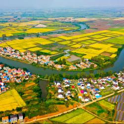 广汉“家门口”就业促增收  乡村振兴走出新路子