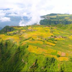 慎终如始抓好巩固拓展脱贫攻坚成果各项工作　牢牢守住不发生规模性返贫致贫底线