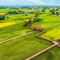 全国地方黑猪高质量发展论坛在三台县举行