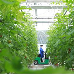 2025四川平台经济产业链合作伙伴大会在蓉举行  施小琳出席